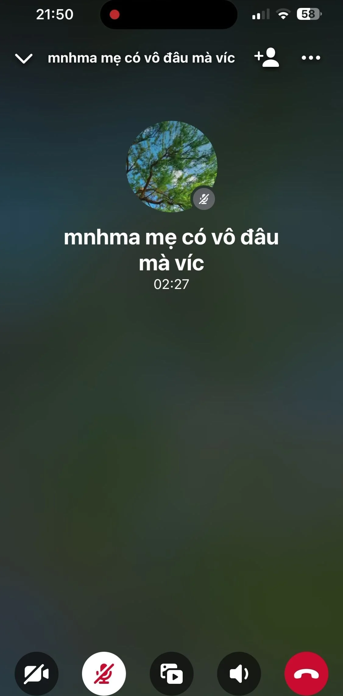 p2-cho-ah-em-nho-2k4-ngay-tho-nhma-tinh